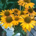 Profile picture of Alexandra Deanna